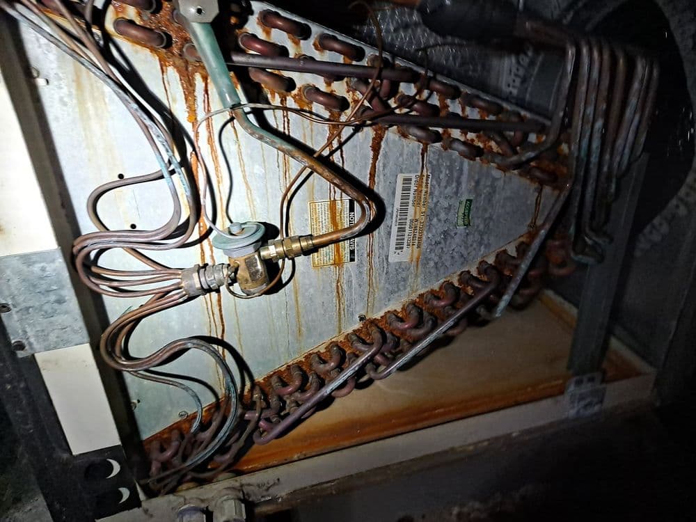 Corroded refrigeration coils with rust and damaged metal components inside an appliance.