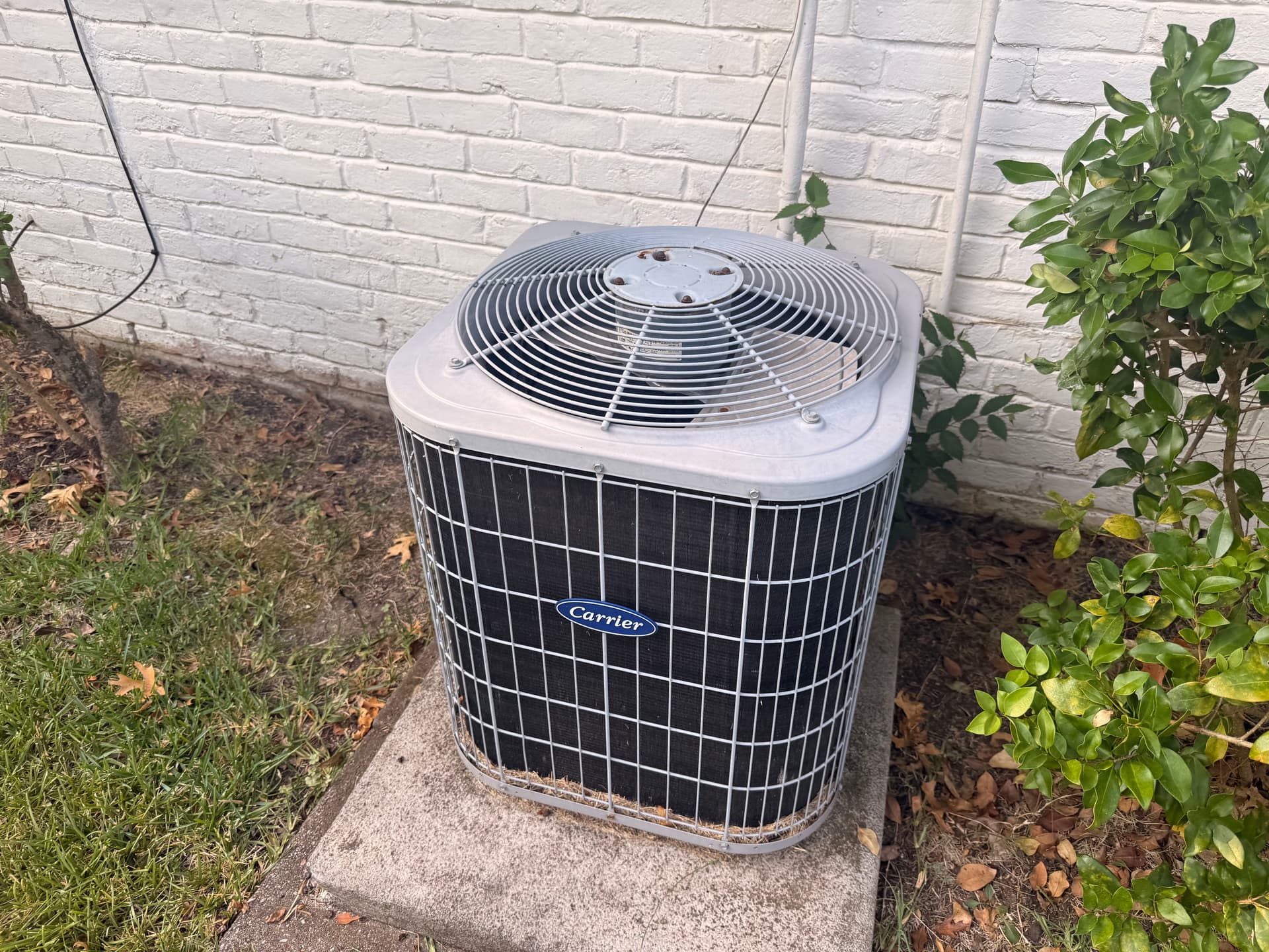 We Work Saturdays Because Texas Heat Doesn't Take Days Off image